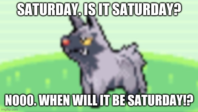 I forgot to submit this | SATURDAY. IS IT SATURDAY? NO00. WHEN WILL IT BE SATURDAY!? | image tagged in so not amused | made w/ Imgflip meme maker