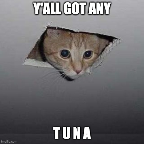 Ceiling Cat |  Y'ALL GOT ANY; T U N A | image tagged in memes,ceiling cat | made w/ Imgflip meme maker