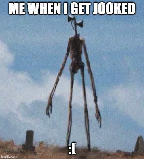 spoild |  ME WHEN I GET JOOKED; :( | image tagged in funny | made w/ Imgflip meme maker