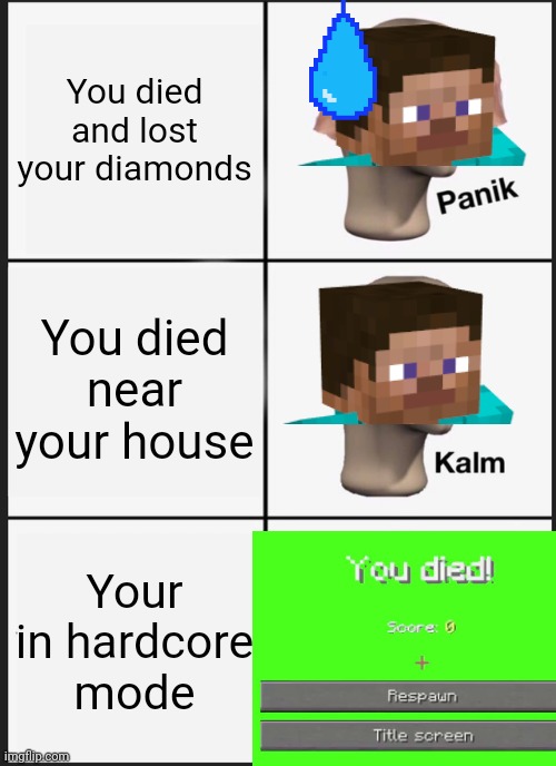 Derpy Memes #15 | You died and lost your diamonds; You died near your house; Your in hardcore mode | image tagged in memes,panik kalm panik | made w/ Imgflip meme maker