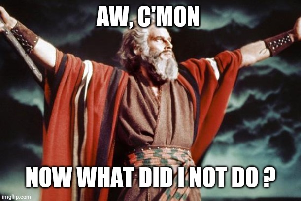 punny moses | AW, C'MON NOW WHAT DID I NOT DO ? | image tagged in punny moses | made w/ Imgflip meme maker