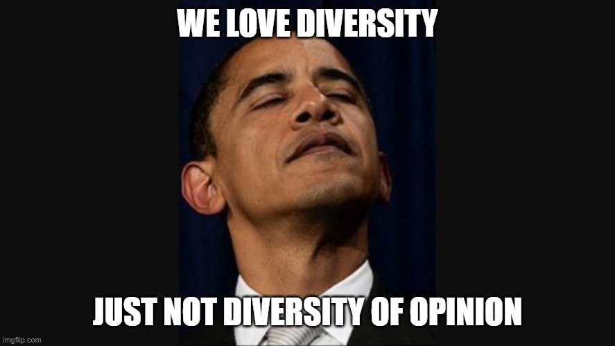 Arrogant Obama  | WE LOVE DIVERSITY JUST NOT DIVERSITY OF OPINION | image tagged in arrogant obama | made w/ Imgflip meme maker