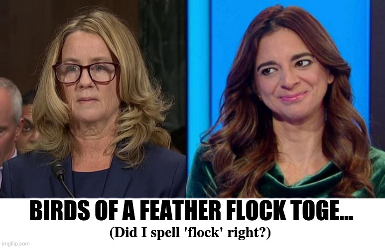 fakers | BIRDS OF A FEATHER FLOCK TOGE... (Did I spell 'flock' right?) | image tagged in liars,fakers,liberals | made w/ Imgflip meme maker