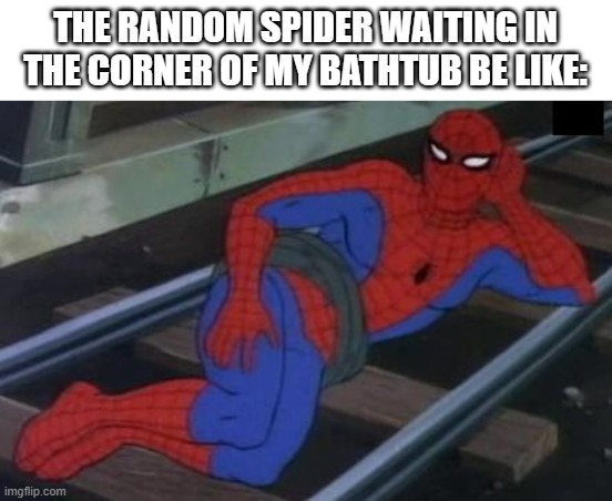 Sexy Railroad Spiderman Meme | THE RANDOM SPIDER WAITING IN THE CORNER OF MY BATHTUB BE LIKE: | image tagged in memes,sexy railroad spiderman,spiderman | made w/ Imgflip meme maker