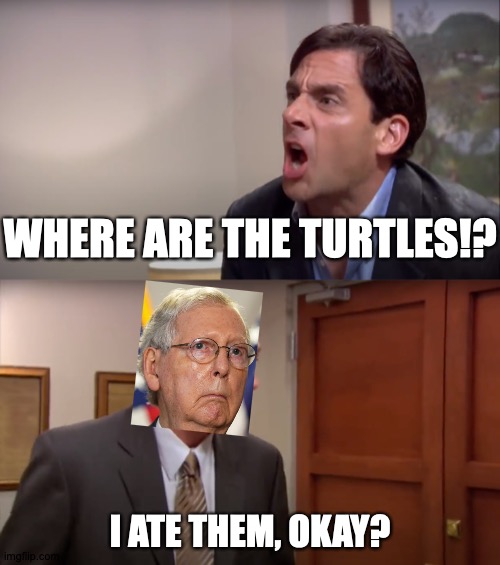 You Are What You Eat | WHERE ARE THE TURTLES!? I ATE THEM, OKAY? | image tagged in memes,the office,mitch mcconnell,turtle | made w/ Imgflip meme maker