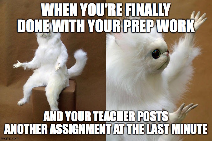 Persian Cat Room Guardian Meme | WHEN YOU'RE FINALLY DONE WITH YOUR PREP WORK; AND YOUR TEACHER POSTS ANOTHER ASSIGNMENT AT THE LAST MINUTE | image tagged in memes,persian cat room guardian | made w/ Imgflip meme maker