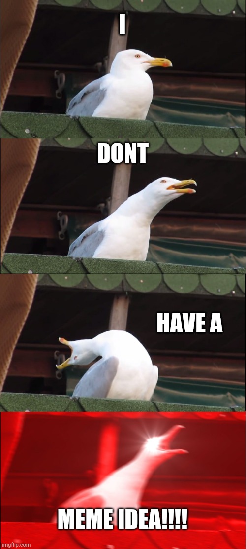 Inhaling Seagull | I; DONT; HAVE A; MEME IDEA!!!! | image tagged in memes,inhaling seagull | made w/ Imgflip meme maker