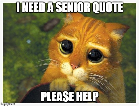 Shrek Cat | I NEED A SENIOR QUOTE; PLEASE HELP | image tagged in memes,shrek cat | made w/ Imgflip meme maker