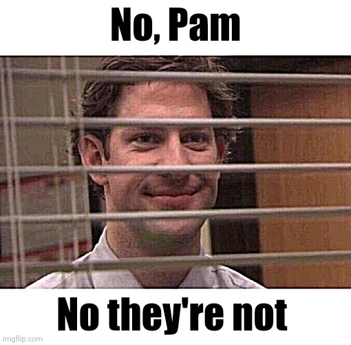 Jim Office Blinds | No, Pam No they're not | image tagged in jim office blinds | made w/ Imgflip meme maker