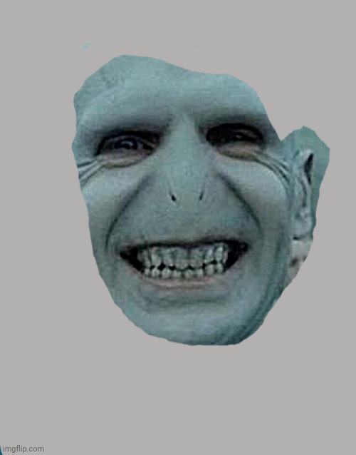 Voldemort Grin | image tagged in voldemort grin | made w/ Imgflip meme maker