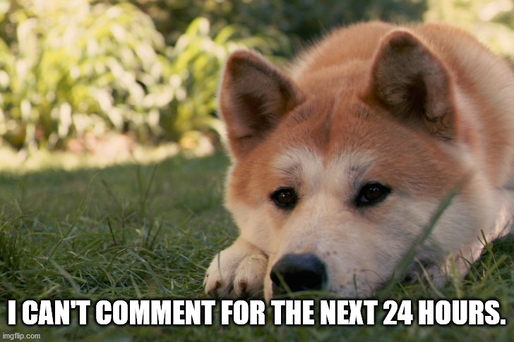 sad doge :[ | I CAN'T COMMENT FOR THE NEXT 24 HOURS. | image tagged in sad doge | made w/ Imgflip meme maker