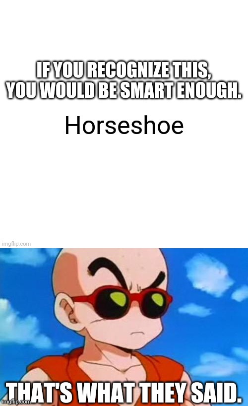 Horseshoe | IF YOU RECOGNIZE THIS, YOU WOULD BE SMART ENOUGH. THAT'S WHAT THEY SAID. | image tagged in dragon ball z krillin swag,horseshoe,funny,memes,dank memes | made w/ Imgflip meme maker