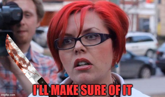 Angry Feminist | I'LL MAKE SURE OF IT | image tagged in angry feminist | made w/ Imgflip meme maker