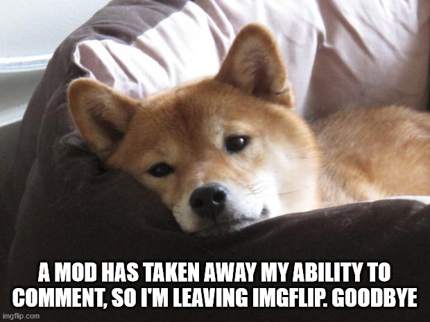 Goodbye, I'm thinking about leaving, Please... repost this to other streams | A MOD HAS TAKEN AWAY MY ABILITY TO COMMENT, SO I'M LEAVING IMGFLIP. GOODBYE | image tagged in goodbye,i am sad | made w/ Imgflip meme maker
