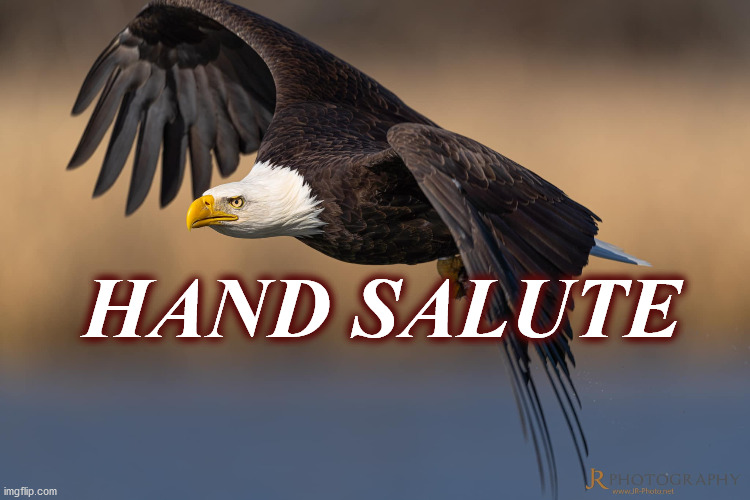 eagle | HAND SALUTE | image tagged in eagle | made w/ Imgflip meme maker