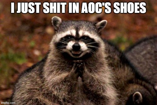Evil Plotting Raccoon Meme | I JUST SHIT IN AOC'S SHOES | image tagged in memes,evil plotting raccoon | made w/ Imgflip meme maker