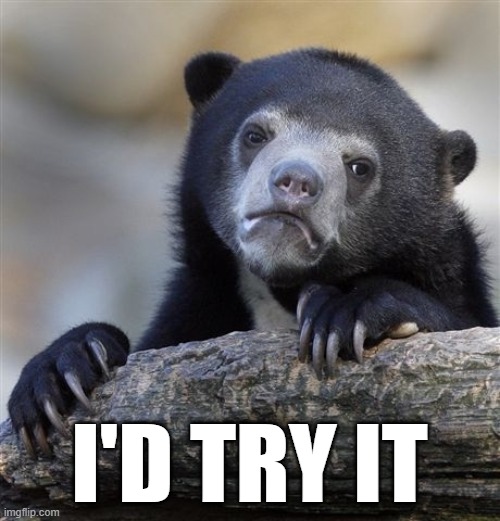 Confession Bear Meme | I'D TRY IT | image tagged in memes,confession bear | made w/ Imgflip meme maker