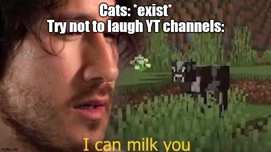 Cats are pretty funny tho | Cats: *exist*
Try not to laugh YT channels: | image tagged in i can milk you template,cats,youtube | made w/ Imgflip meme maker