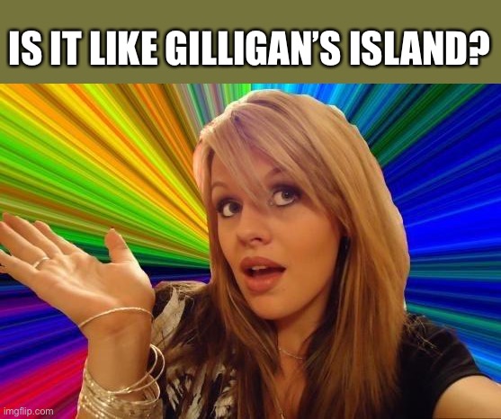 Dumb Blonde Meme | IS IT LIKE GILLIGAN’S ISLAND? | image tagged in memes,dumb blonde | made w/ Imgflip meme maker