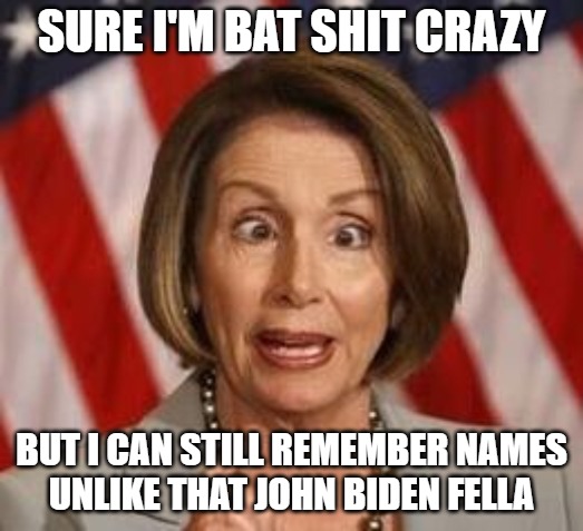 A bag of bat | SURE I'M BAT SHIT CRAZY; BUT I CAN STILL REMEMBER NAMES
UNLIKE THAT JOHN BIDEN FELLA | image tagged in biden,memes,fun,funny,nancy pelosi,politics | made w/ Imgflip meme maker