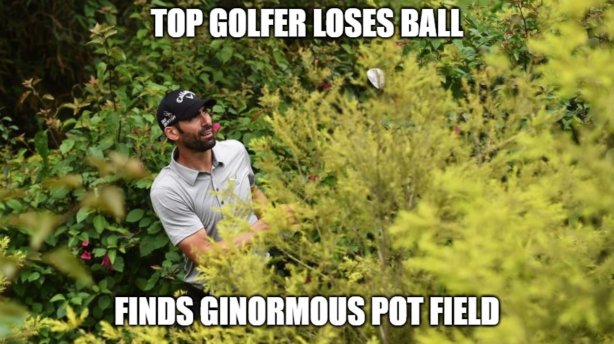 Lost and Found | TOP GOLFER LOSES BALL; FINDS GINORMOUS POT FIELD | image tagged in sports,golf,weed,memes,fun,funny | made w/ Imgflip meme maker