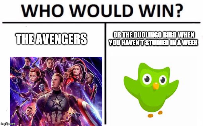 Who Would Win? | THE AVENGERS; OR THE DUOLINGO BIRD WHEN YOU HAVEN'T STUDIED IN A WEEK | image tagged in memes,who would win | made w/ Imgflip meme maker