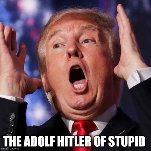 The Adolf Hitler of stupid | THE ADOLF HITLER OF STUPID | image tagged in the adolf hitler of stupid | made w/ Imgflip meme maker