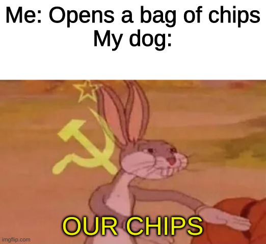 My dog in a nutshell | Me: Opens a bag of chips
My dog:; OUR CHIPS | image tagged in bugs bunny communist,dog,dogs,communism | made w/ Imgflip meme maker