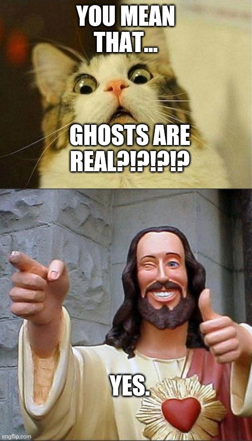 Ghosts possibly exist | YOU MEAN THAT... GHOSTS ARE REAL?!?!?!? YES. | image tagged in memes,buddy christ,scared cat | made w/ Imgflip meme maker