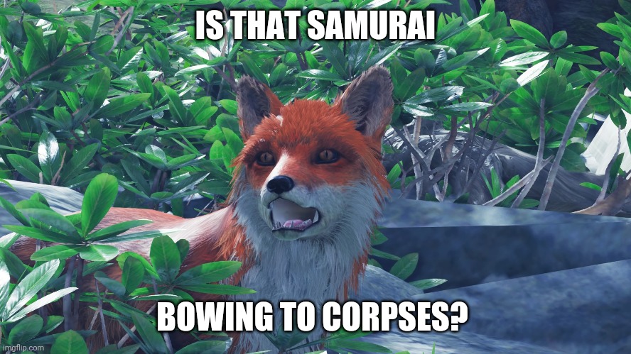 Amazed Fox | IS THAT SAMURAI; BOWING TO CORPSES? | image tagged in amazed fox | made w/ Imgflip meme maker