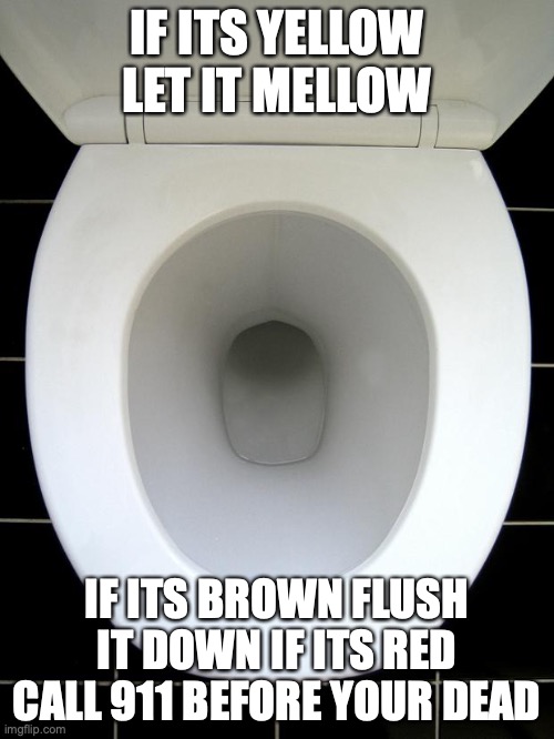 TOILET | IF ITS YELLOW LET IT MELLOW; IF ITS BROWN FLUSH IT DOWN IF ITS RED CALL 911 BEFORE YOUR DEAD | image tagged in toilet | made w/ Imgflip meme maker