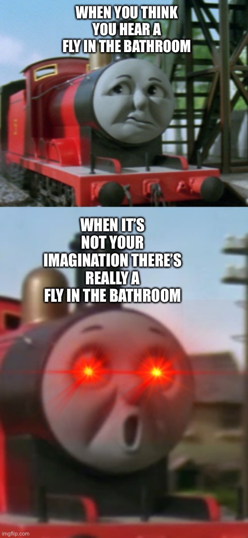 A fly in the bathroom | WHEN YOU THINK YOU HEAR A FLY IN THE BATHROOM; WHEN IT’S NOT YOUR IMAGINATION THERE’S REALLY A FLY IN THE BATHROOM | image tagged in funny memes,memes | made w/ Imgflip meme maker