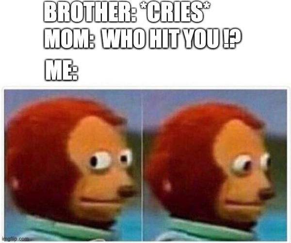 Monkey Puppet Meme | BROTHER: *CRIES*; MOM:  WHO HIT YOU !? ME: | image tagged in memes,monkey puppet | made w/ Imgflip meme maker