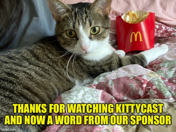 cats old tv commercials Memes & GIFs - Imgflip