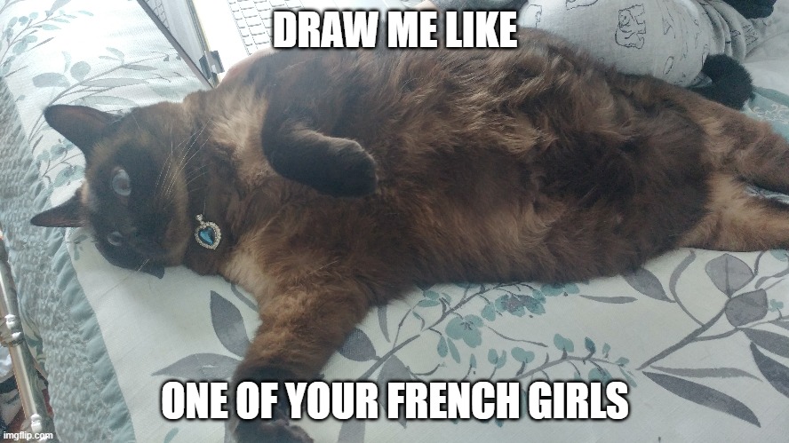 Draw Me Like One of Your French Girls | DRAW ME LIKE; ONE OF YOUR FRENCH GIRLS | image tagged in titanic,cats | made w/ Imgflip meme maker