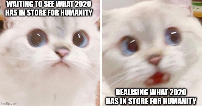 WAITING TO SEE WHAT 2020 HAS IN STORE FOR HUMANITY; REALISING WHAT 2020 HAS IN STORE FOR HUMANITY | made w/ Imgflip meme maker