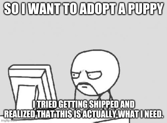 Anyone? | SO I WANT TO ADOPT A PUPPY; I TRIED GETTING SHIPPED AND REALIZED THAT THIS IS ACTUALLY WHAT I NEED. | image tagged in memes,computer guy | made w/ Imgflip meme maker