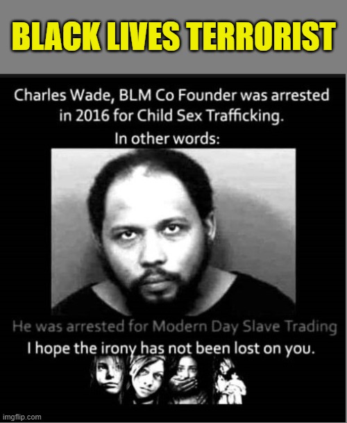 Only FOUR years ago, here's your Marxist thug hero. | BLACK LIVES TERRORIST | image tagged in black lives matter,blm,election 2020 | made w/ Imgflip meme maker