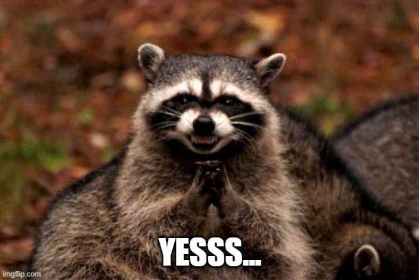 Evil Plotting Raccoon Meme | YESSS... | image tagged in memes,evil plotting raccoon | made w/ Imgflip meme maker