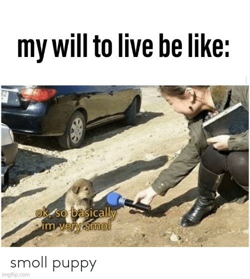 Not really | made w/ Imgflip meme maker