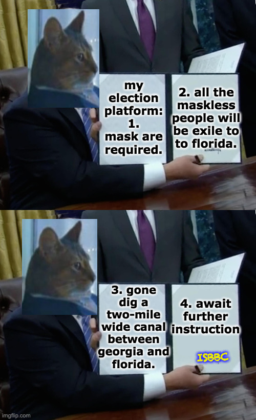 Craving hard details in an election platform?  Take a look at ISBBC! | 2. all the
maskless
people will
be exile to
to florida. my election
platform: 1.
mask are
required. 4. await
further
instruction; 3. gone
dig a
two-mile
wide canal
between
georgia and
florida. ISBBC | image tagged in memes,isbbc,campaign 2020 | made w/ Imgflip meme maker