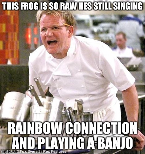 Chef Gordon Ramsay | THIS FROG IS SO RAW HES STILL SINGING; RAINBOW CONNECTION AND PLAYING A BANJO | image tagged in memes,chef gordon ramsay | made w/ Imgflip meme maker