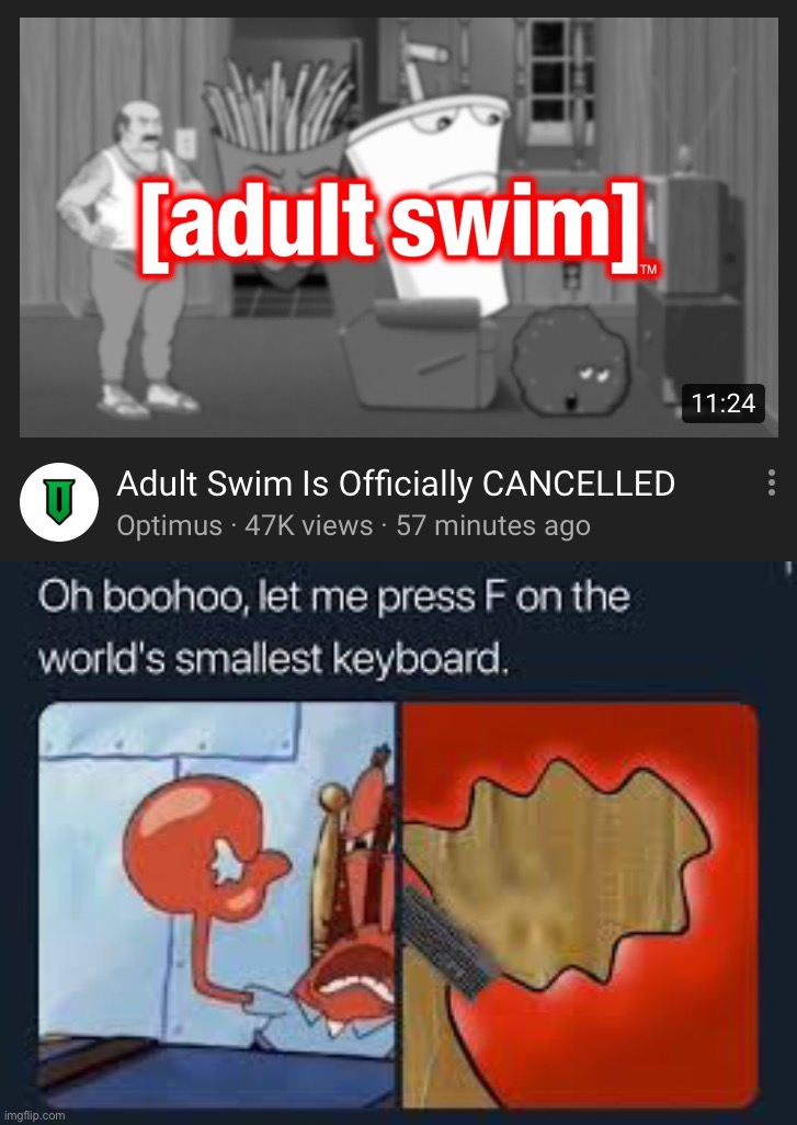 R.I.P. Adult Swim | 2001 - 2020 | image tagged in let me press f on the worlds smallest keyboard | made w/ Imgflip meme maker