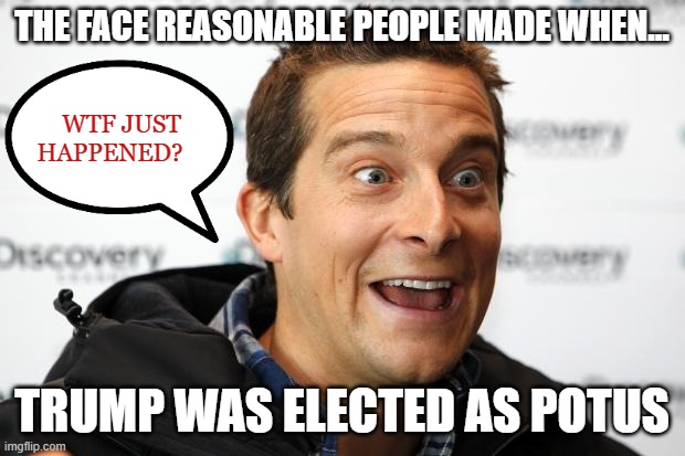 The orange monkey is now in charge? | THE FACE REASONABLE PEOPLE MADE WHEN... WTF JUST       HAPPENED? TRUMP WAS ELECTED AS POTUS | image tagged in shock,wtf,why,omg,nevertrump | made w/ Imgflip meme maker