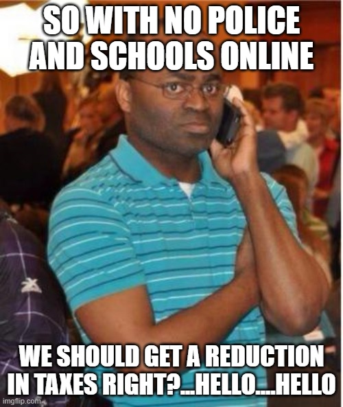 angry man on phone | SO WITH NO POLICE AND SCHOOLS ONLINE; WE SHOULD GET A REDUCTION IN TAXES RIGHT?...HELLO....HELLO | image tagged in angry man on phone | made w/ Imgflip meme maker