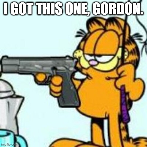 Garfield about to kill your ass | I GOT THIS ONE, GORDON. | image tagged in garfield about to kill your ass | made w/ Imgflip meme maker