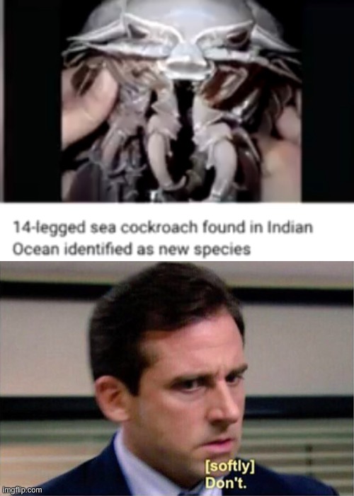 2020 is worse | image tagged in michael scott don't softly,2020,cursed | made w/ Imgflip meme maker