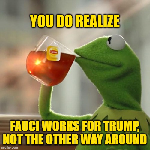 But That's None Of My Business Meme | YOU DO REALIZE FAUCI WORKS FOR TRUMP,
NOT THE OTHER WAY AROUND | image tagged in memes,but that's none of my business,kermit the frog | made w/ Imgflip meme maker