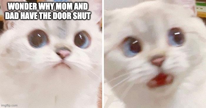 WONDER WHY MOM AND DAD HAVE THE DOOR SHUT | made w/ Imgflip meme maker