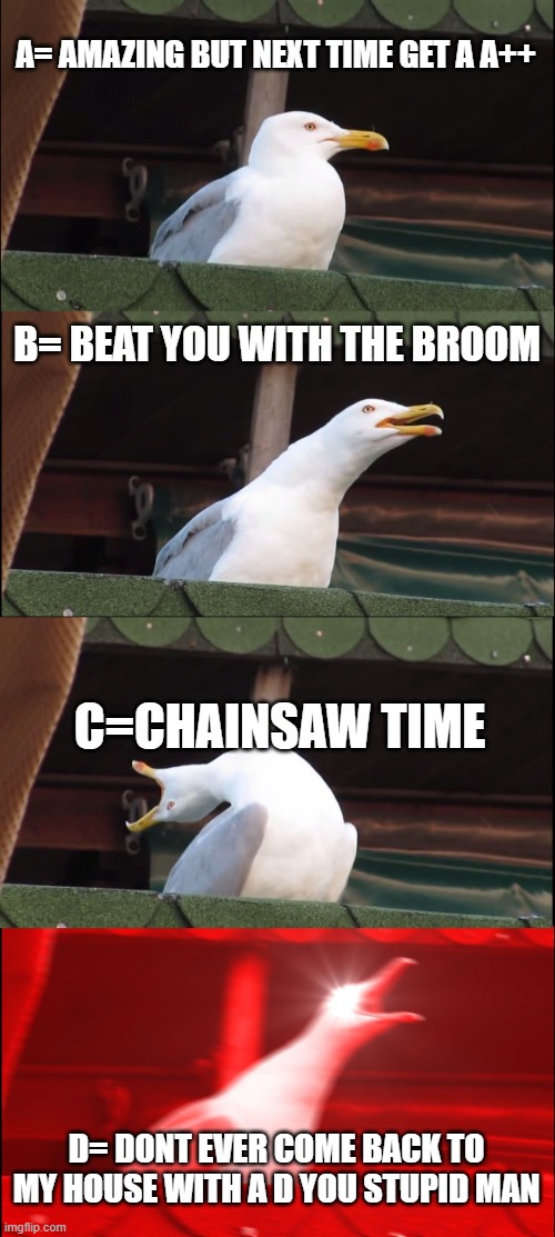 ASIAN LOGIC: |  A= AMAZING BUT NEXT TIME GET A A++; B= BEAT YOU WITH THE BROOM; C=CHAINSAW TIME; D= DONT EVER COME BACK TO MY HOUSE WITH A D YOU STUPID MAN | image tagged in memes,inhaling seagull | made w/ Imgflip meme maker